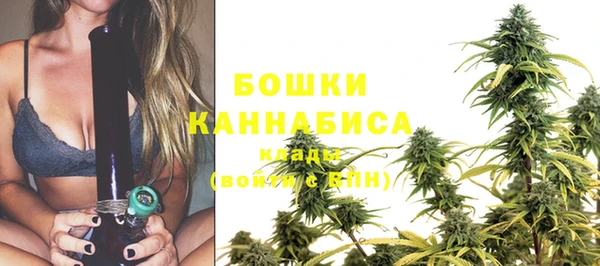 дживик Нягань